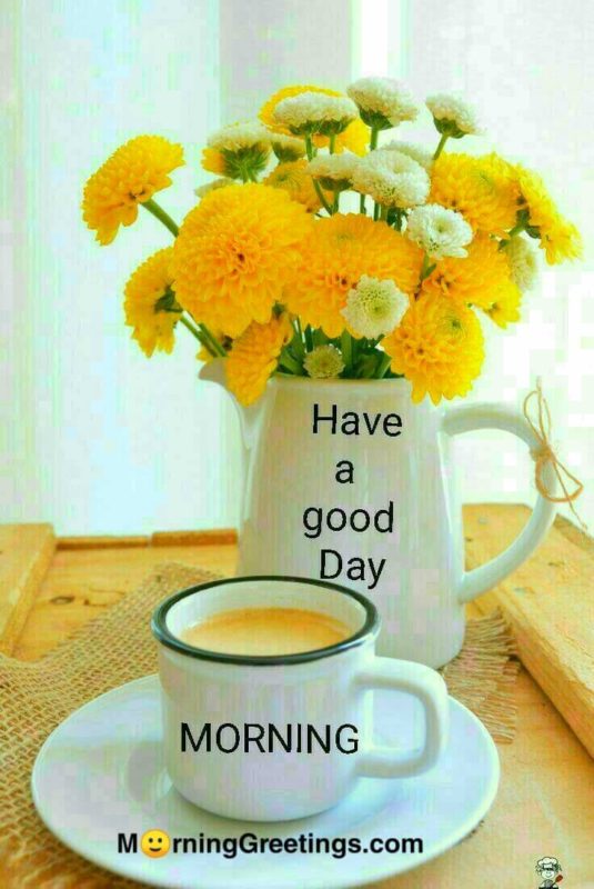 Have A Good Day