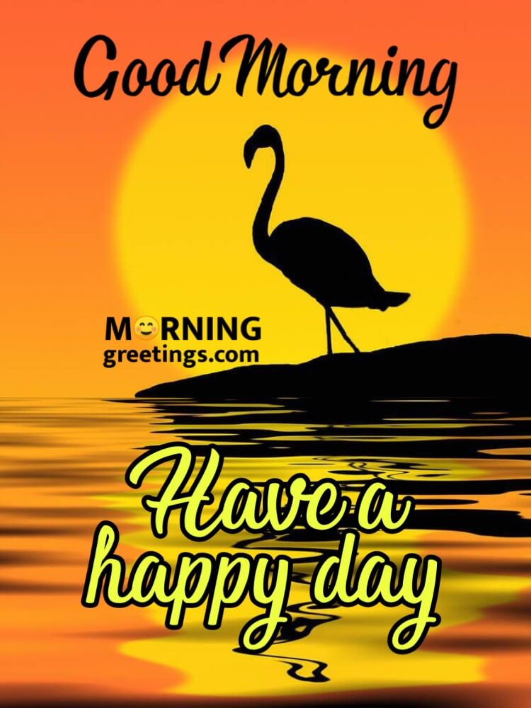 10 Best Selective Wild Life Images - Morning Greetings – Morning Quotes And Wishes Images 10 Best Selective Wild Life Images - Morning Greetings – Morning Quotes And Wishes Images
