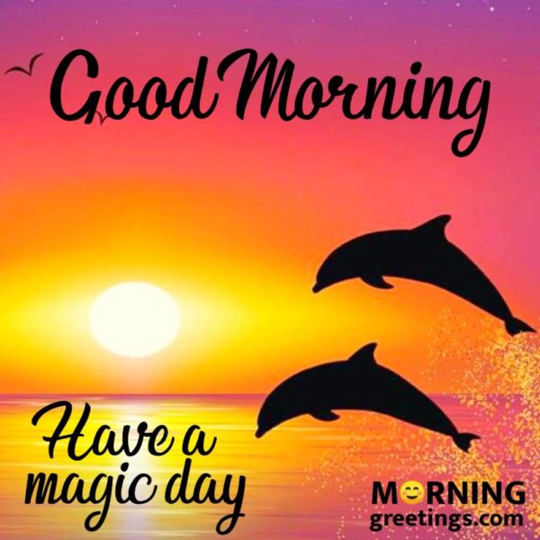 Have A Magic Day