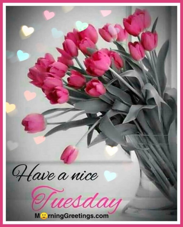 Have A Nice Tuesday