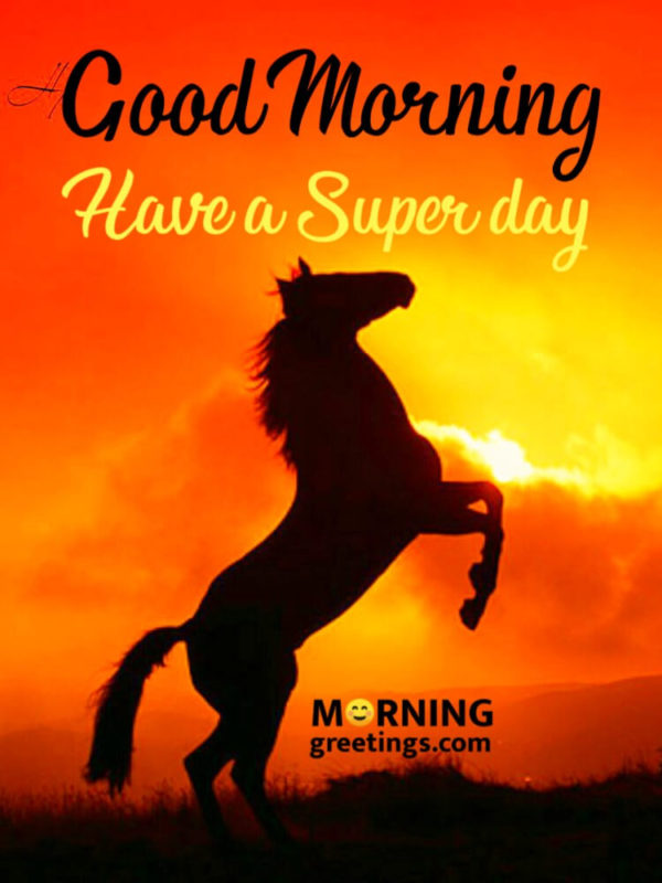 Have A Super Day