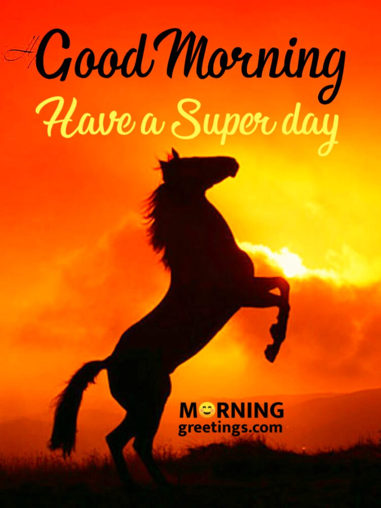 10 Best Selective Wild Life Images - Morning Greetings – Morning Quotes