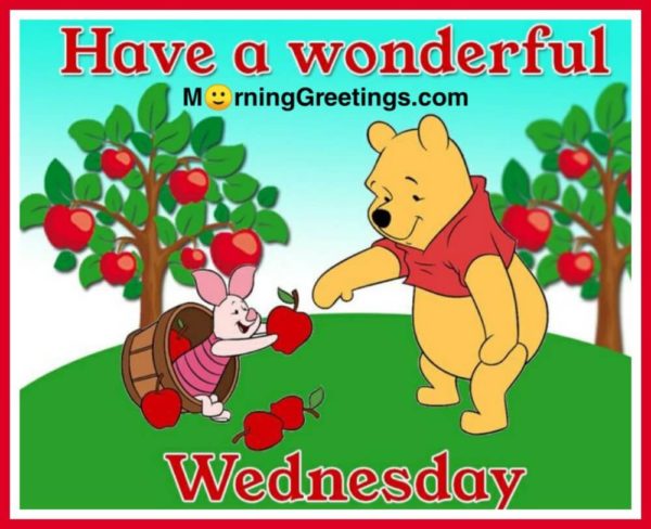 Have A Wonderful Wednesday