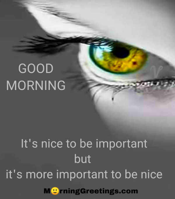 It's Nice To Be Important