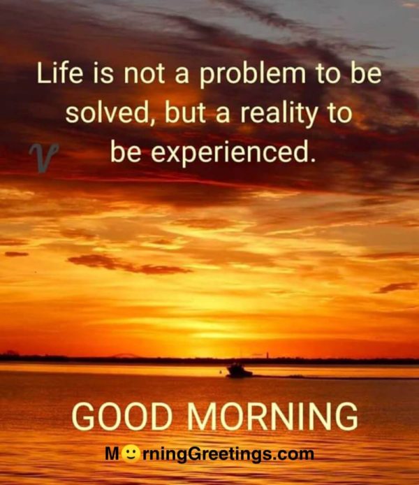 Life Is Not A Problem