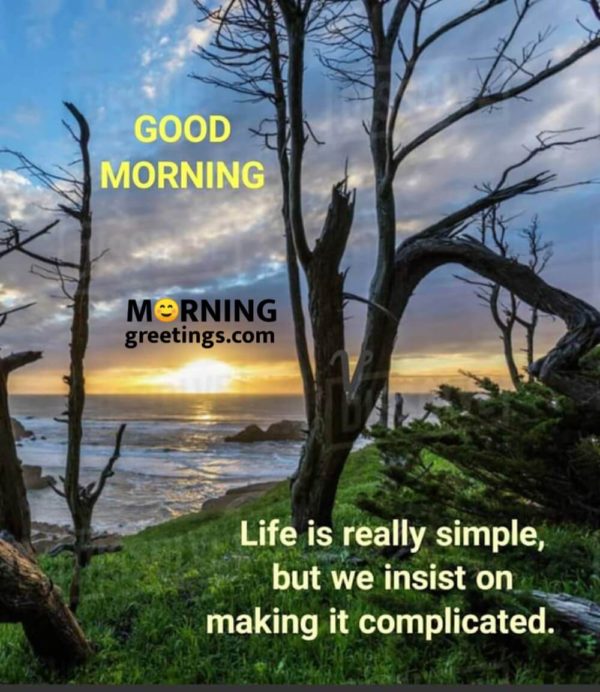 Life Is Really Simple