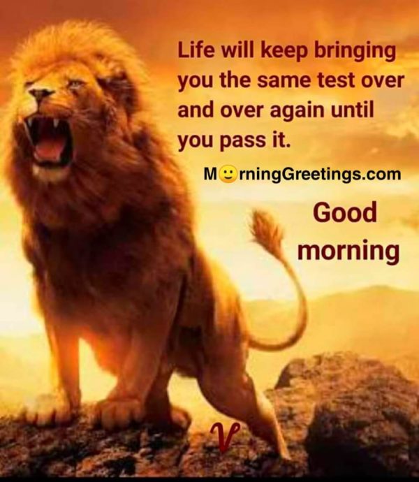 Life Will Keep Bringing