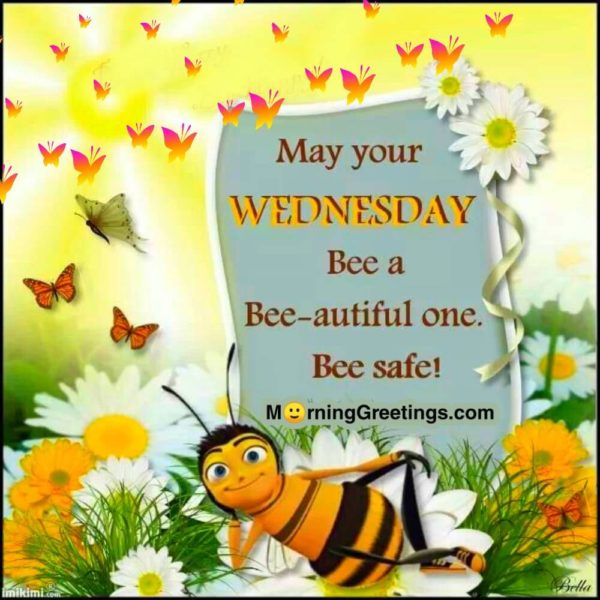 May Your Wednesday Bee