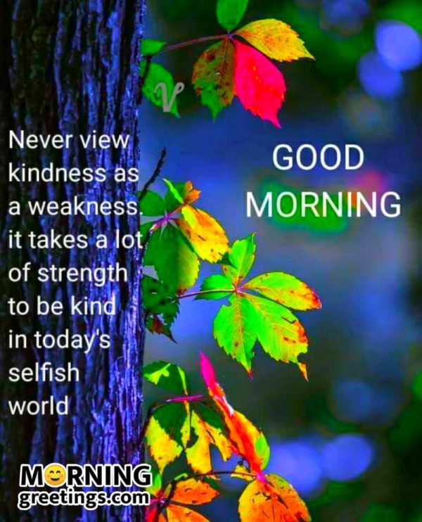 Never View Kindness