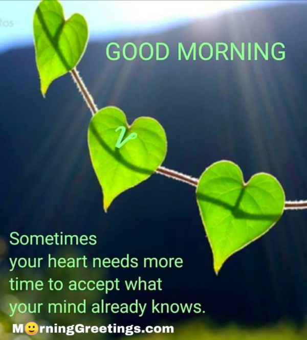 Sometime Your Heart Needs More