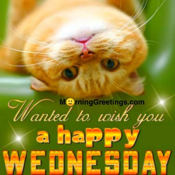Wanted To Wish You Happy Wednesday