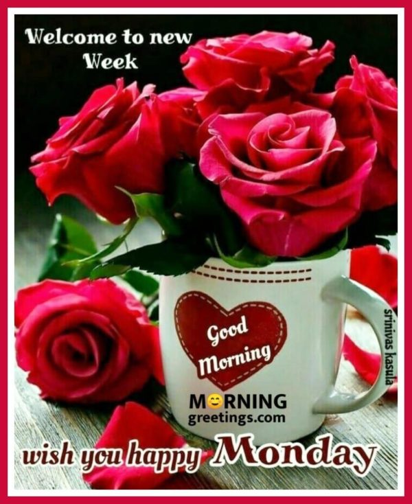 Wish You Happy Monday