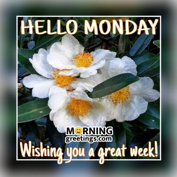Wishing You A Great Week