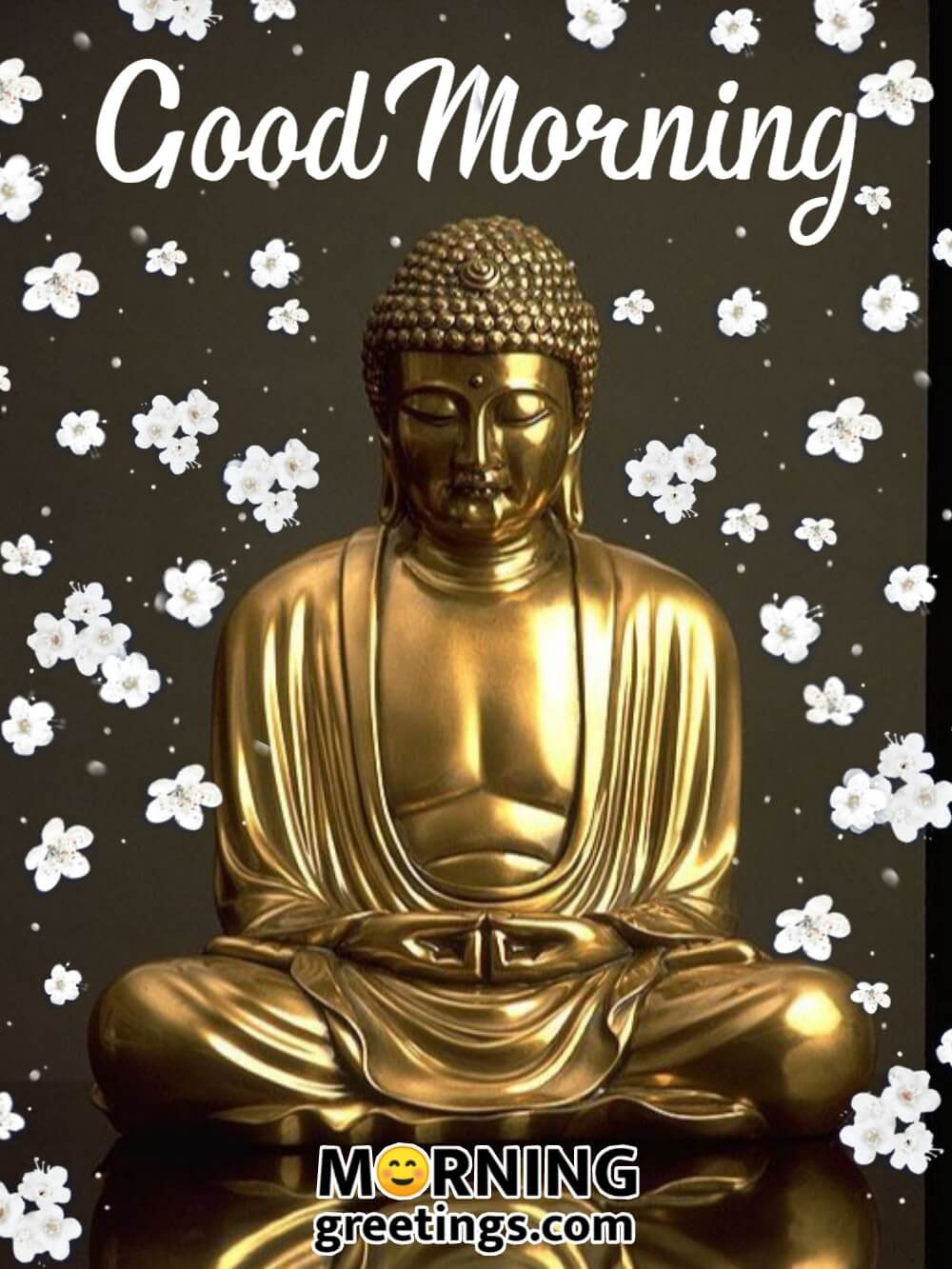 20 Morning Blessings Of Lord Buddha - Morning Greetings – Morning ...