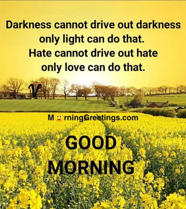 Darkness Cannot Drive Out Darkness