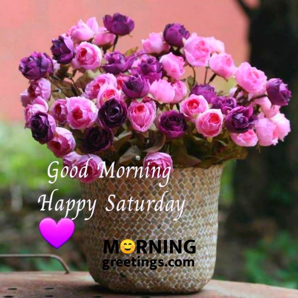 50 Good Morning Happy Saturday Images - Morning Greetings – Morning ...