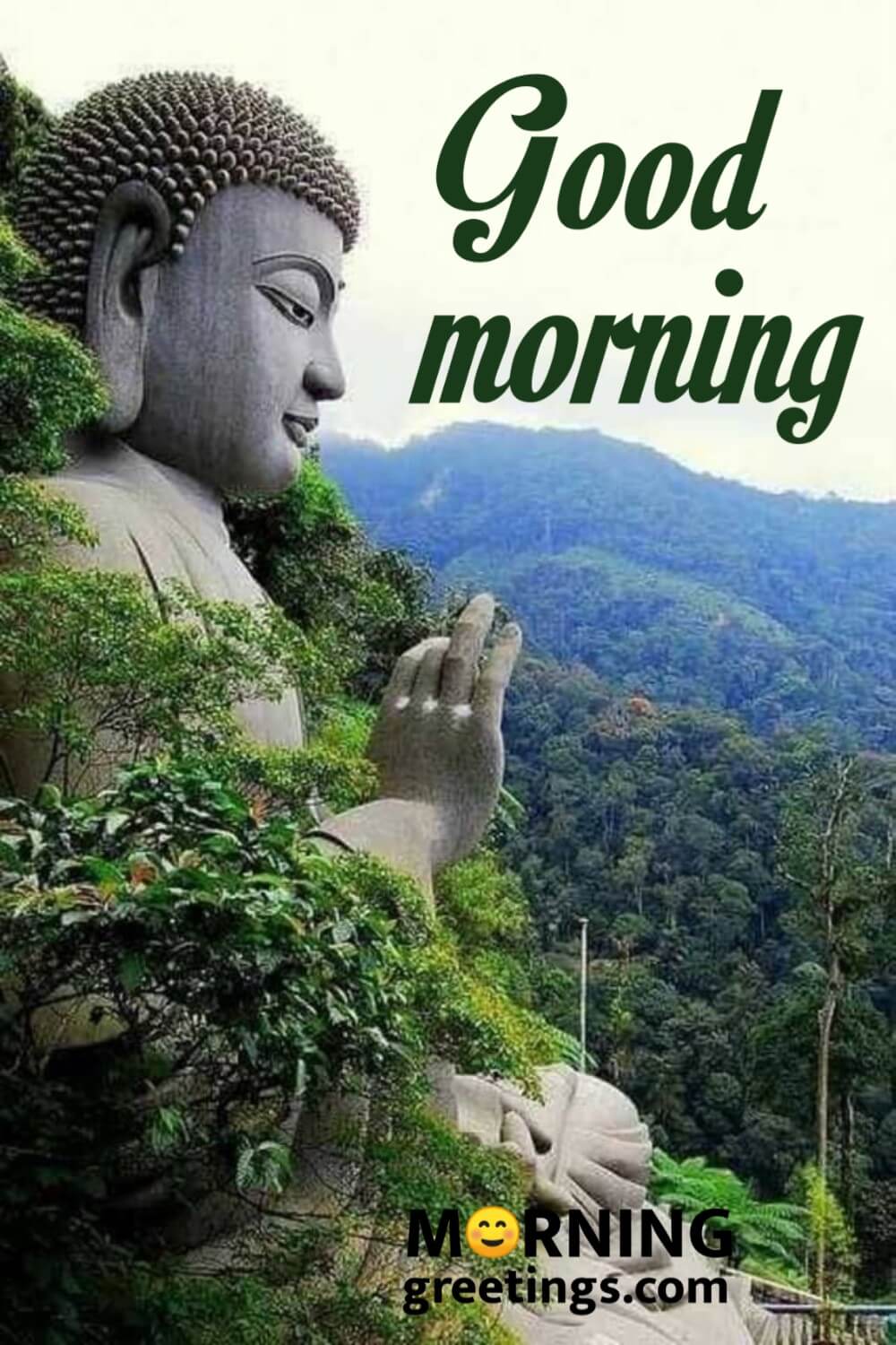 Good Morning Lord Buddha Images Lord Buddha Blessings Quotes