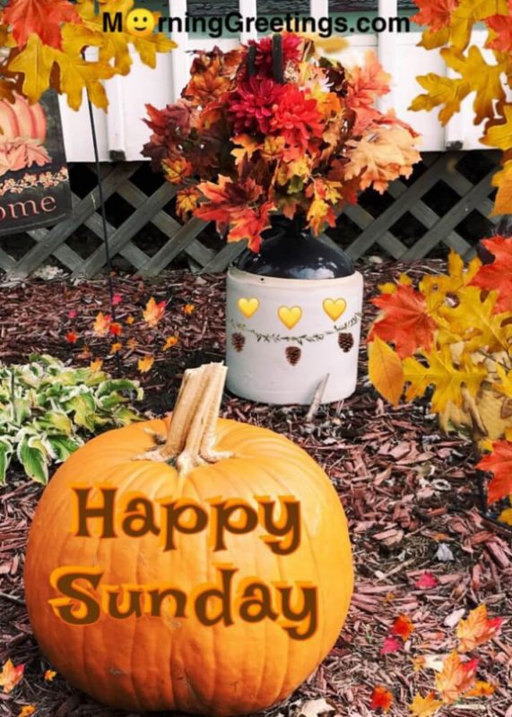 Happy Sunday Image