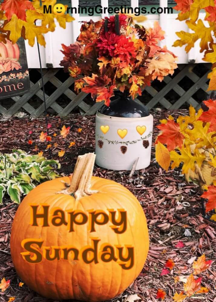 fall sunday blessings