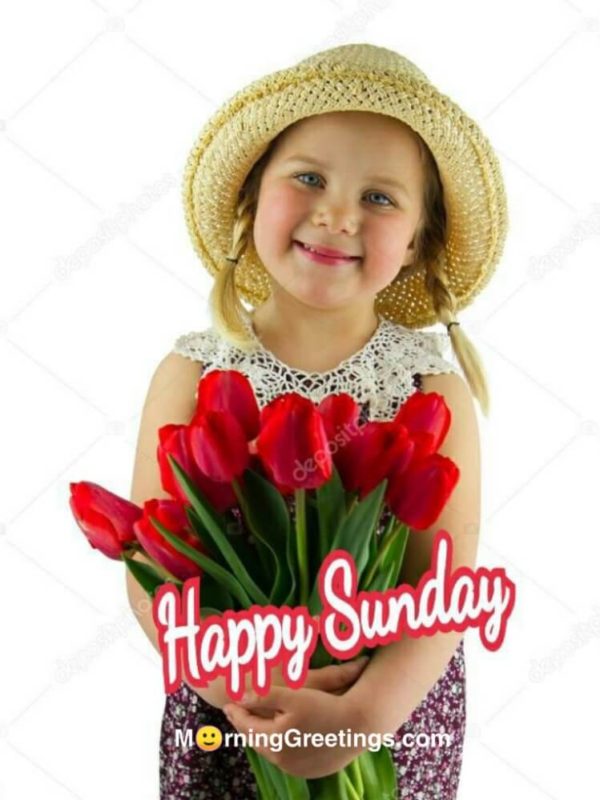 Happy Sunday With Roses