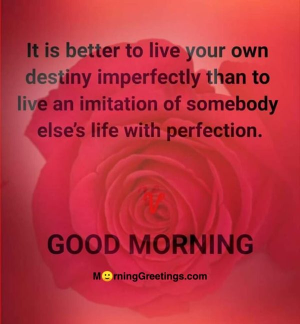 It Is Better To Live Your Own Destiny