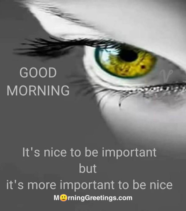 It's Nice To Be Important