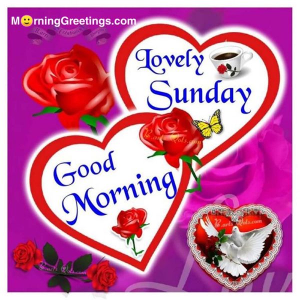Lovely Sunday