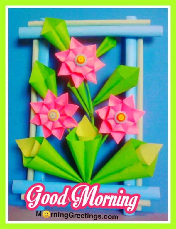 Brilliant Morning Picture