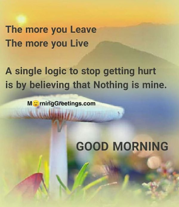The More You Leave