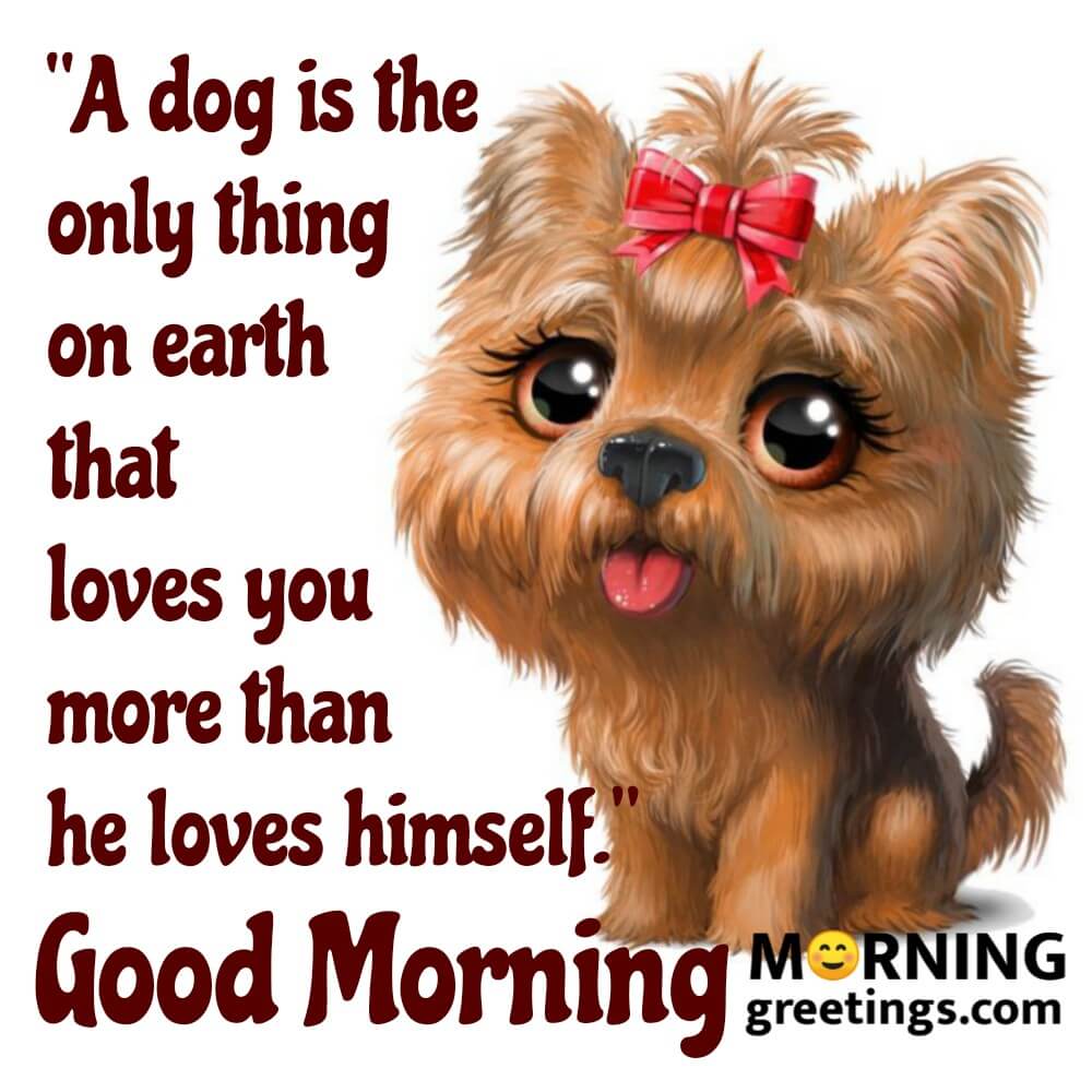 16 Best Dog Morning Greetings - Morning Greetings – Morning Quotes ...