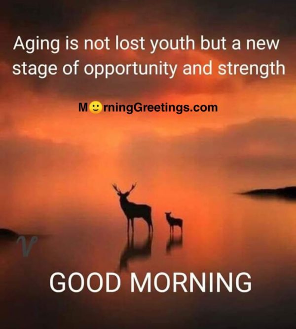 Aging Is Lost