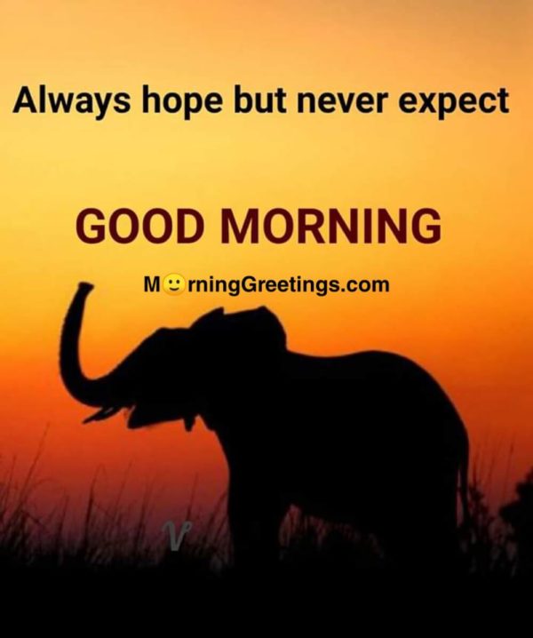 Always Hope But Never Expect