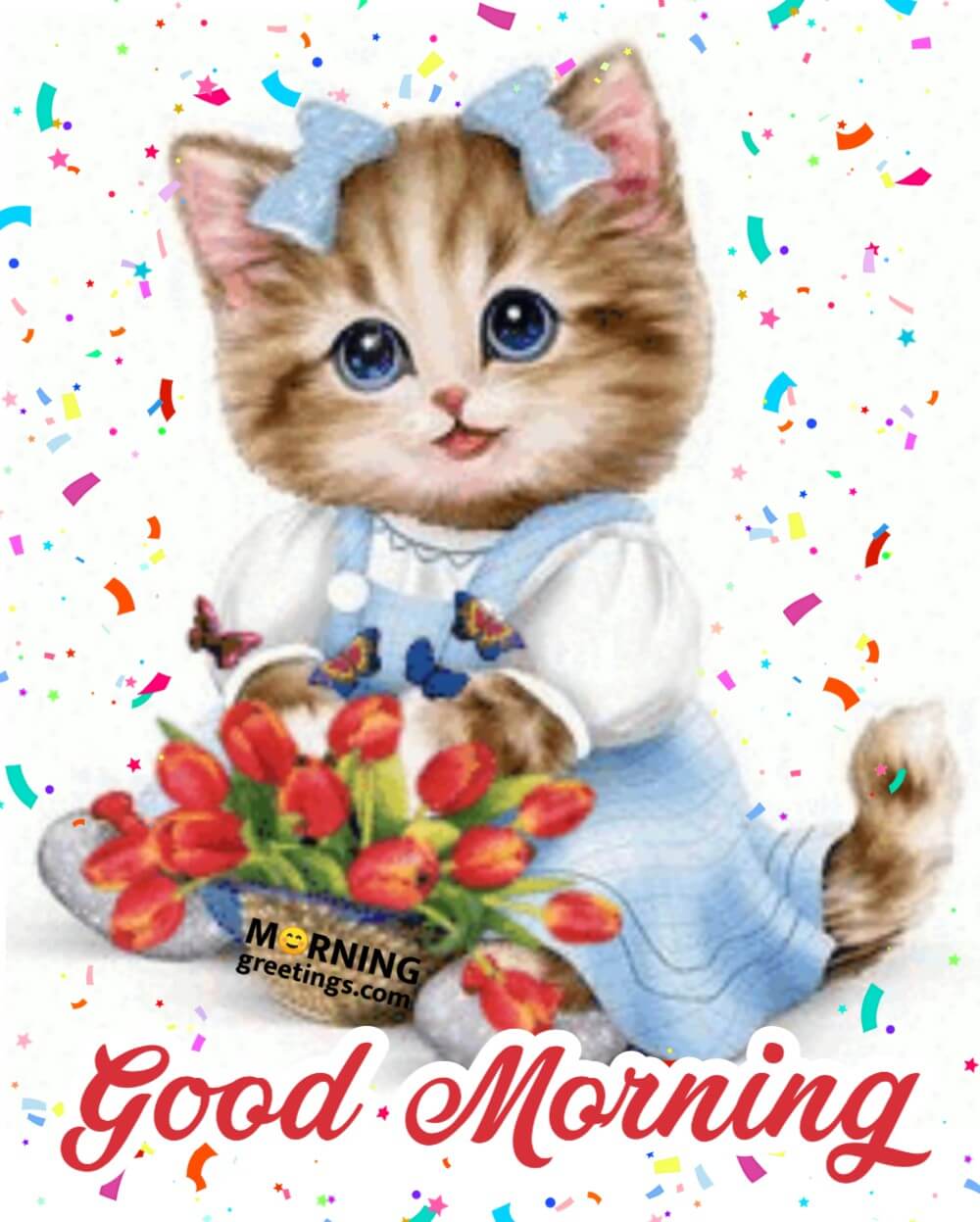 30 Cute Cat Morning Greetings - Morning Greetings – Morning Quotes And ...