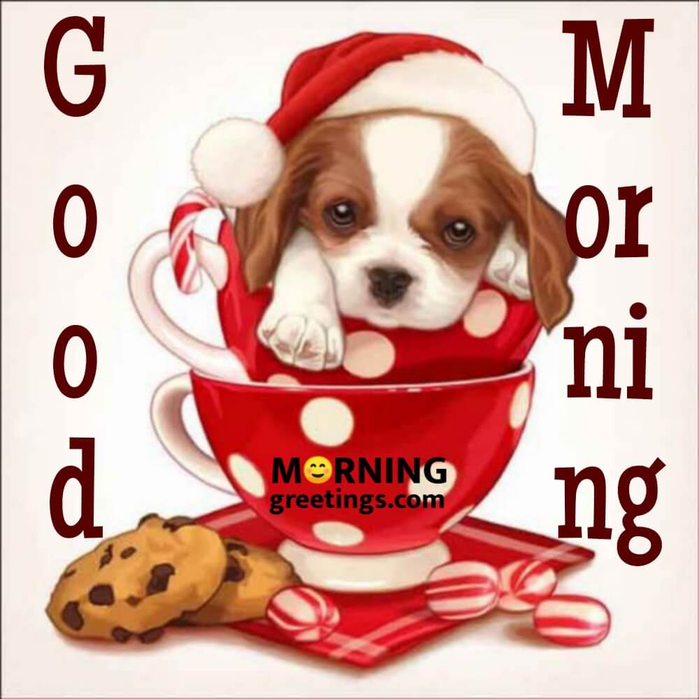 16 Best Dog Morning Greetings - Morning Greetings – Morning Quotes ...