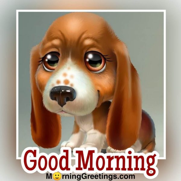 Furry Friends: Good Morning Wishes with Dog Images