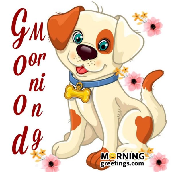 Good Morning Image