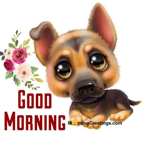 Good Morning Photo