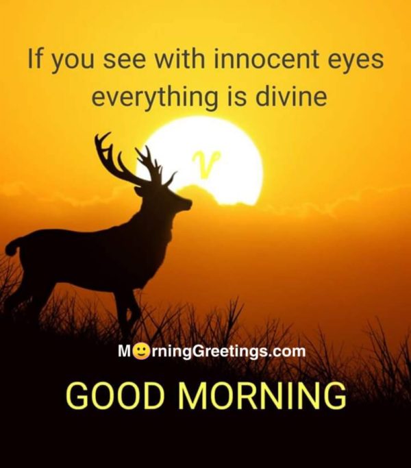 If You See With Innocent Eyes