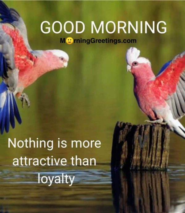 Nothing Is More Attractive
