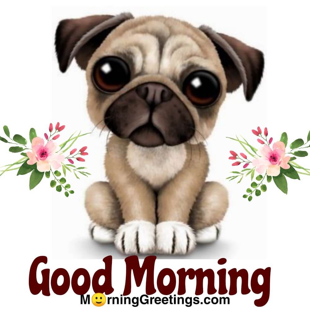 16 Best Dog Morning Greetings - Morning Greetings – Morning Quotes ...