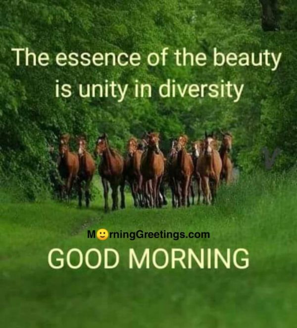 The Essence Of The Beauty