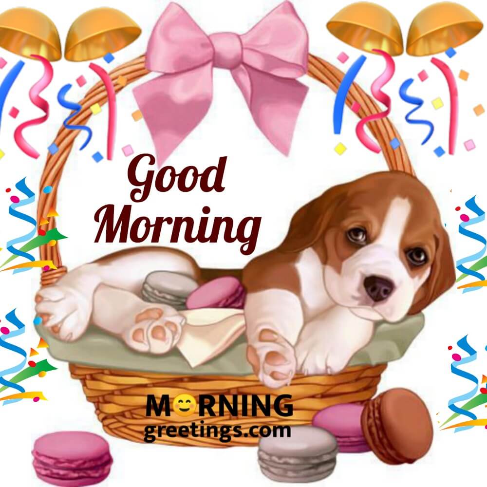 16 Best Dog Morning Greetings - Morning Greetings – Morning Quotes ...