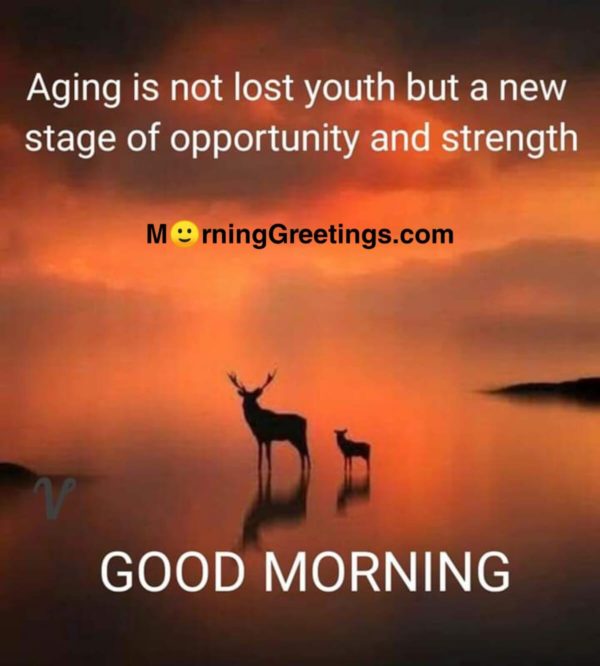 Aging Is Not Lost Youth