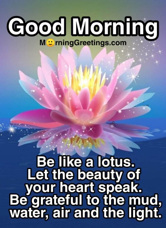 Be Like A Lotus