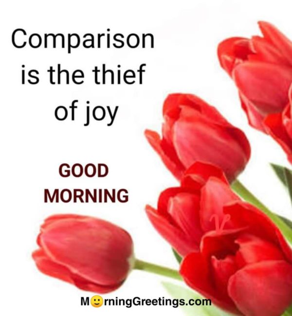 Comparsion Is The Theif Of Joy