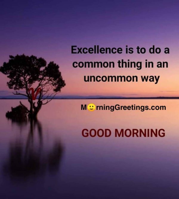 Excellence Is To Do A Common Thing