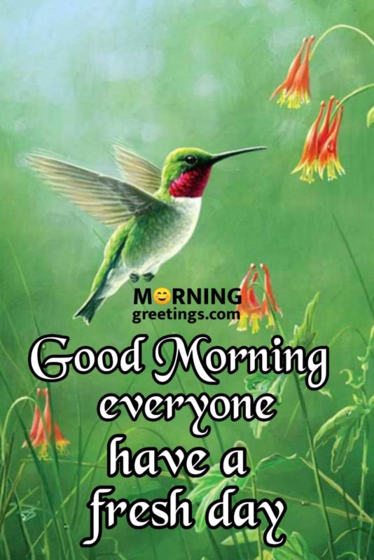 Good Morning Everyone Have A Fresh Day