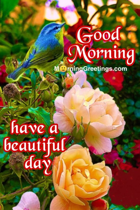 Good Morning Have A Beautful Day