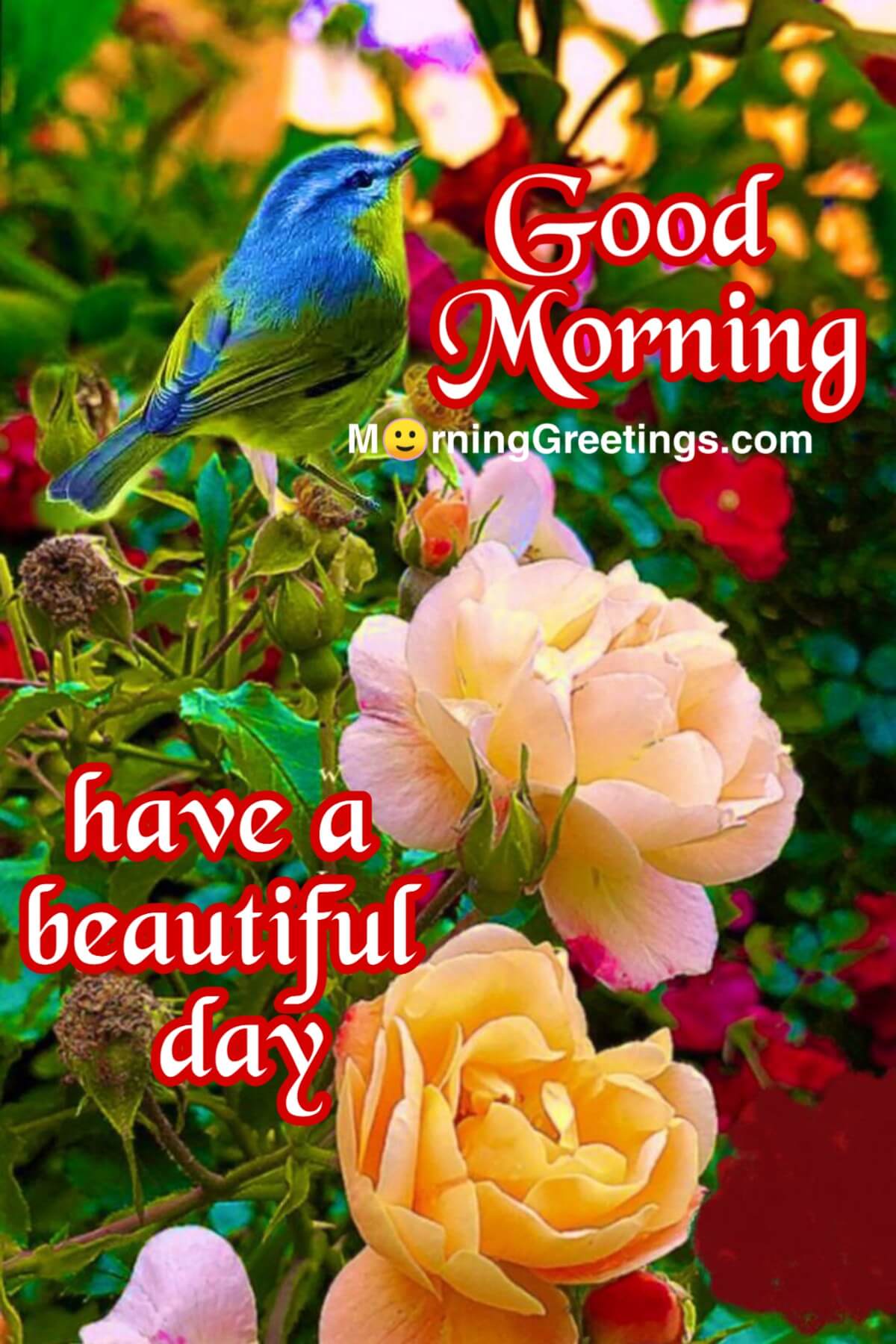 20 Perfect Morning Birds Greetings Morning Greetings Morning