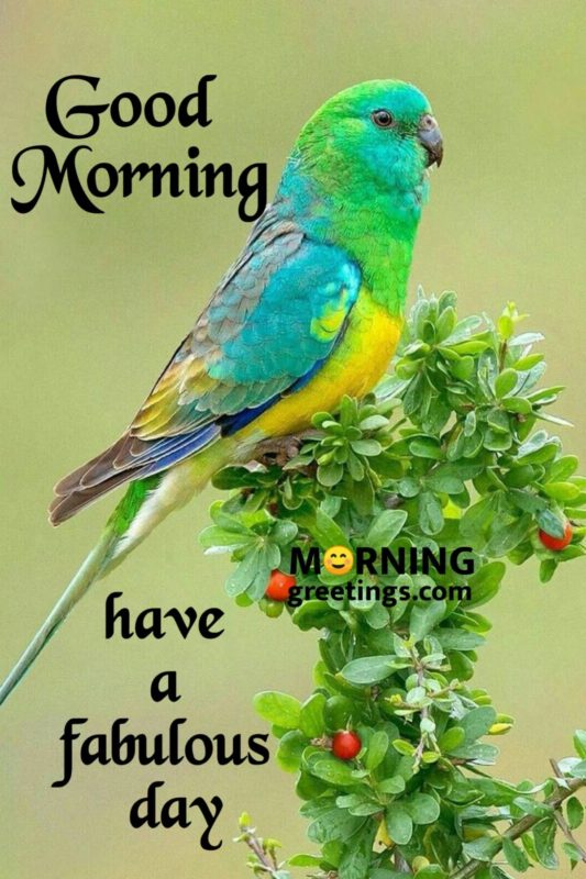 Good Morning Have A Fabulous Day
